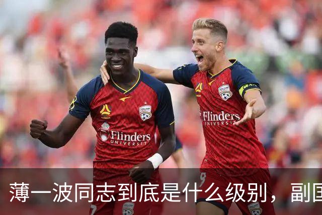 薄一波同志到底是什么级别，副国级？还是正国级？